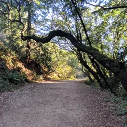 Redwood Regional Park - Oakland