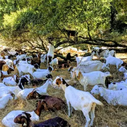 Redwood Regional Park - Oakland