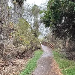 Guajome Regional Park - Oceanside
