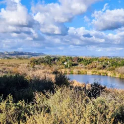 Guajome Regional Park - Oceanside