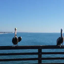 Oceanside Pier - Oceanside