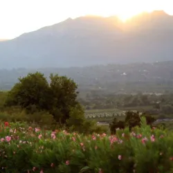Meditation Mount - Ojai