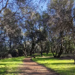 Bidwell Canyon Trail - Oroville