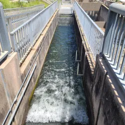 Feather River Fish Hatchery - Oroville
