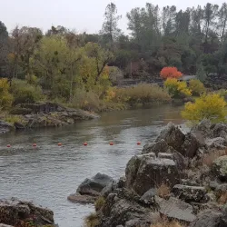 Feather River Fish Hatchery - Oroville