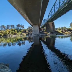 Feather River Fish Hatchery - Oroville