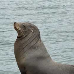 Channel Islands Harbor - Oxnard