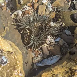 Mandalay State Beach - Oxnard