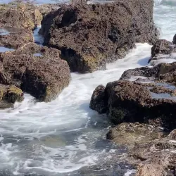 Mandalay State Beach - Oxnard