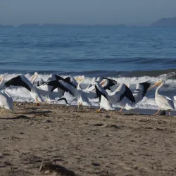 McGrath State Beach - Oxnard