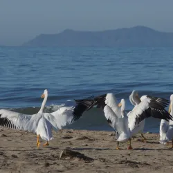 McGrath State Beach - Oxnard