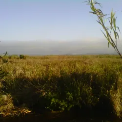 McGrath State Beach - Oxnard