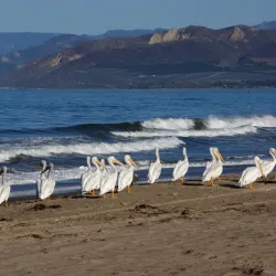 McGrath State Beach - Oxnard