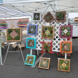 Oxnard Farmers Market - Oxnard