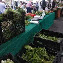 Oxnard Farmers Market - Oxnard