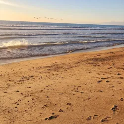 Oxnard State Beach and Park - Oxnard