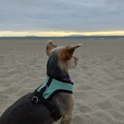 Oxnard State Beach and Park - Oxnard