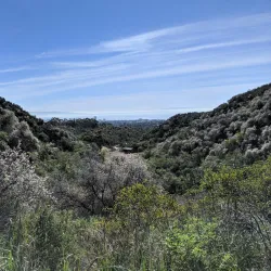 Inspiration Point - Pacific Palisades