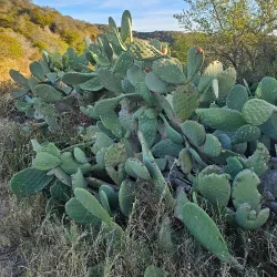 Inspiration Point - Pacific Palisades