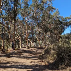 Inspiration Point - Pacific Palisades
