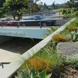 Palisades Charter High School - Pacific Palisades