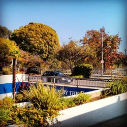 Palisades Charter High School - Pacific Palisades
