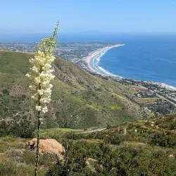 Santa Monica Mountains National Recreation Area - Pacific Palisades