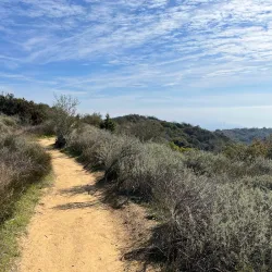 Temescal Gateway Park - Pacific Palisades