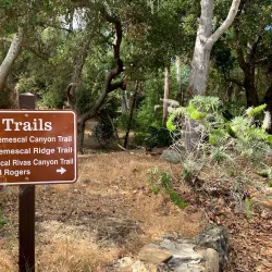 Temescal Gateway Park - Pacific Palisades