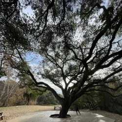 Temescal Gateway Park - Pacific Palisades