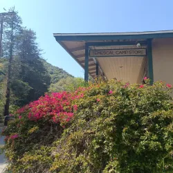 Temescal Gateway Park - Pacific Palisades