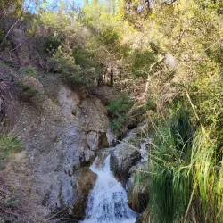 Temescal Gateway Park - Pacific Palisades