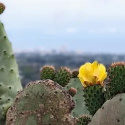 Will Rogers State Historic Park - Pacific Palisades