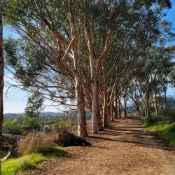 Will Rogers State Historic Park - Pacific Palisades