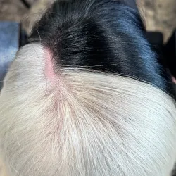 Artisans of the Desert - Palm Desert