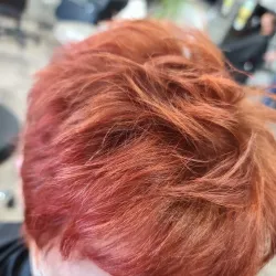 Artisans of the Desert - Palm Desert