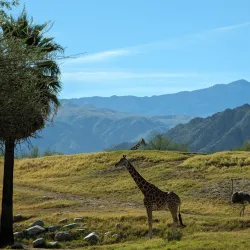 Living Desert Zoo and Gardens - Palm Desert