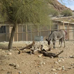 Living Desert Zoo and Gardens - Palm Desert