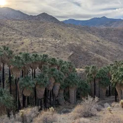Santa Rosa and San Jacinto Mountains National Monument - Palm Desert