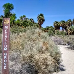 Coachella Valley Preserve - Palm Springs