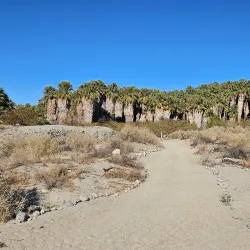 Coachella Valley Preserve - Palm Springs