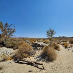 Coachella Valley Preserve - Palm Springs