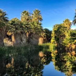 Coachella Valley Preserve - Palm Springs