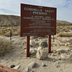 Coachella Valley Preserve - Palm Springs