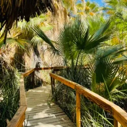 Coachella Valley Preserve - Palm Springs