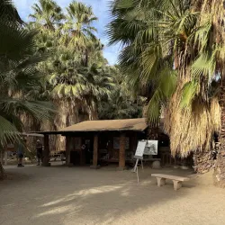 Coachella Valley Preserve - Palm Springs