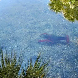 Coachella Valley Preserve - Palm Springs