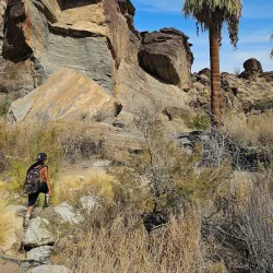 Indian Canyons - Palm Springs