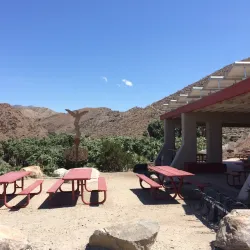 Indian Canyons - Palm Springs