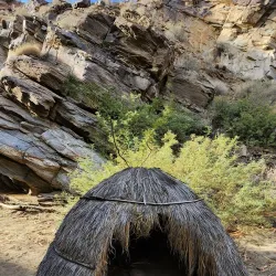 Indian Canyons - Palm Springs